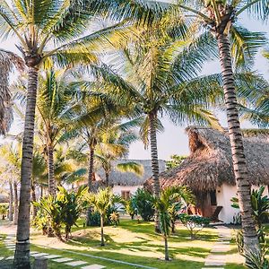 Paredon Surf House